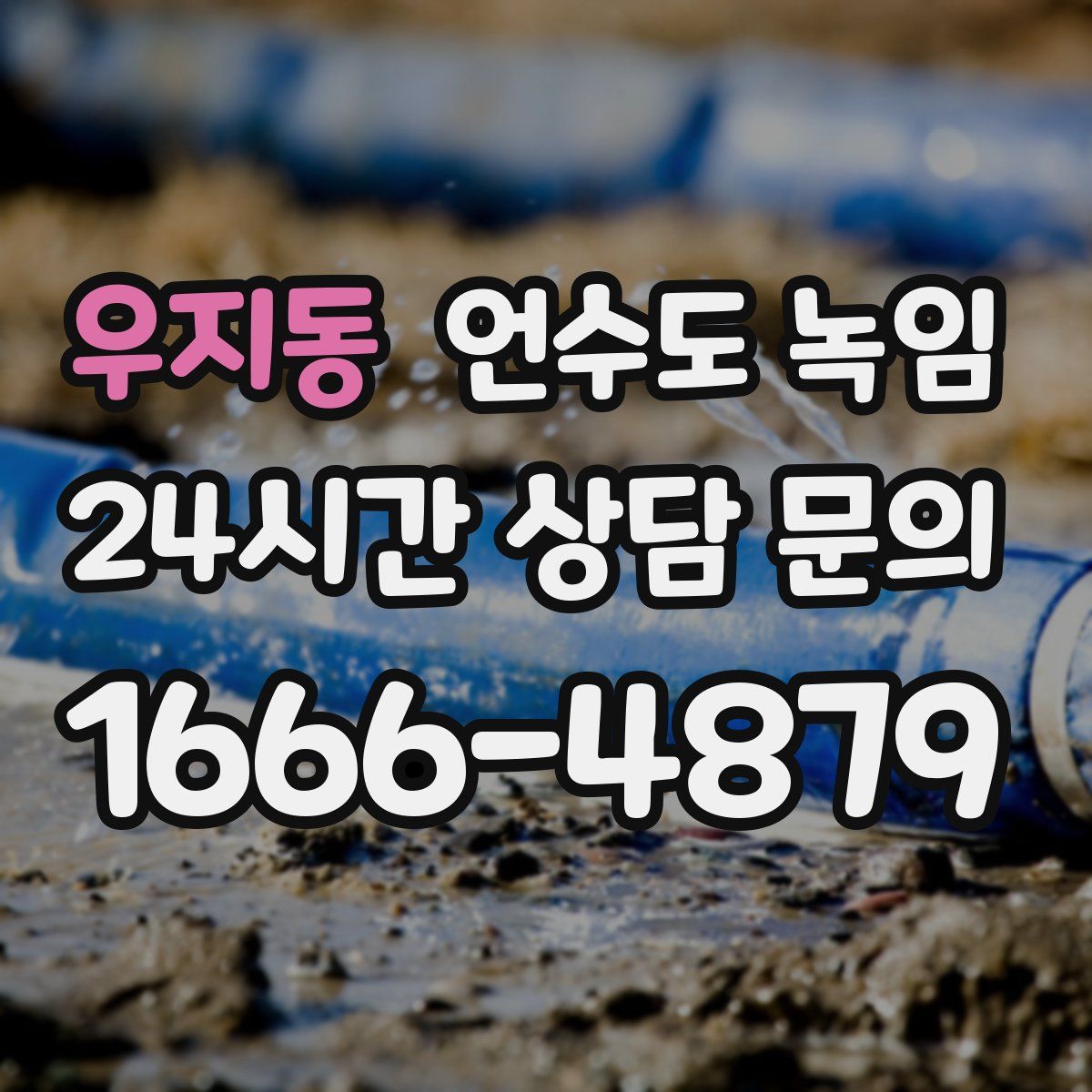 우지동 언수도 녹임