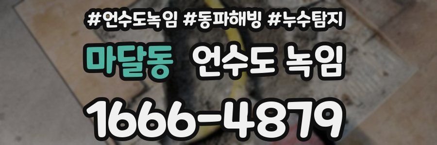 마달동 언수도 녹임