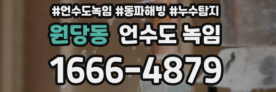 원당동 언수도 녹임