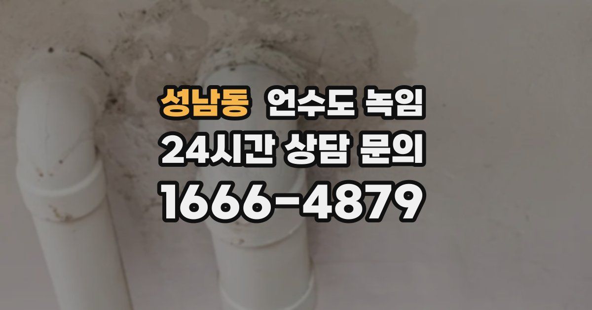 성남동 언수도 녹임