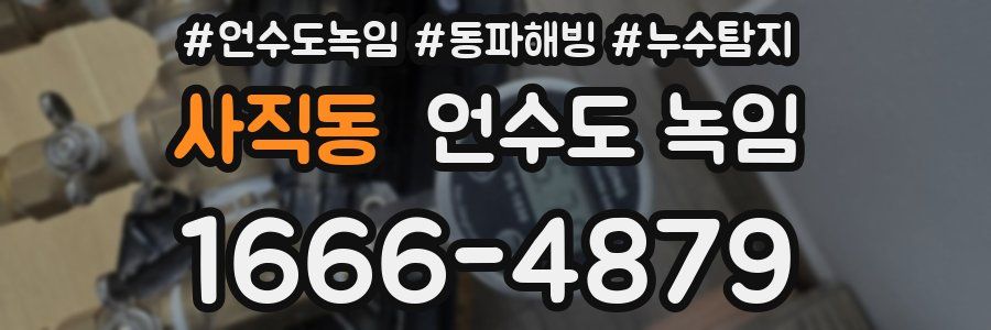 사직동 언수도 녹임