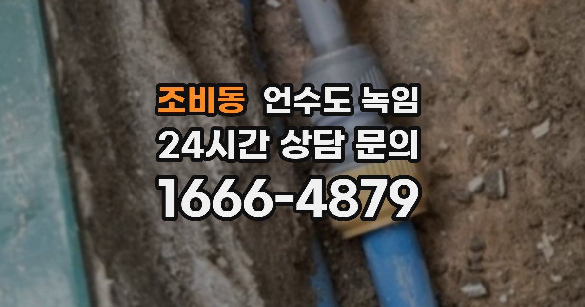 조비동 언수도 녹임