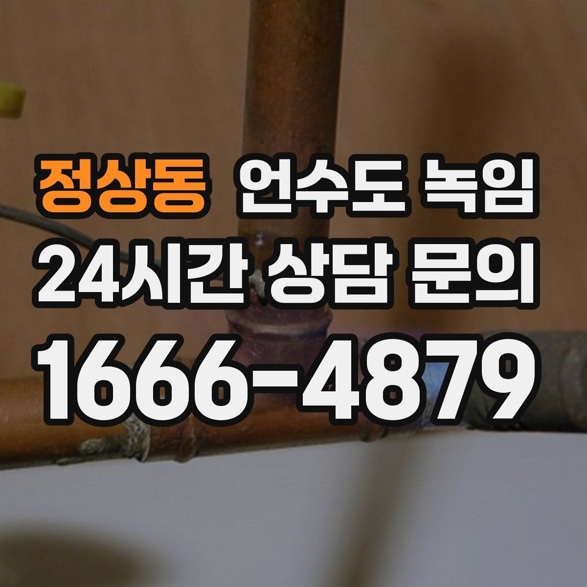 정상동 언수도 녹임