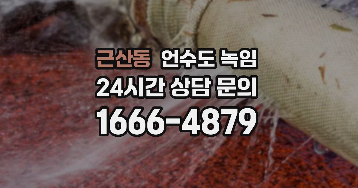 근산동 언수도 녹임