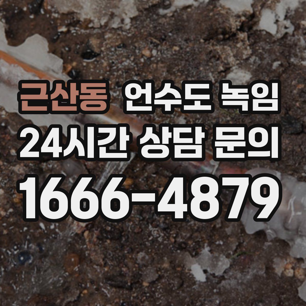 근산동 언수도 녹임