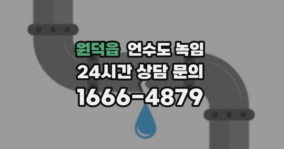 원덕읍 언수도 녹임