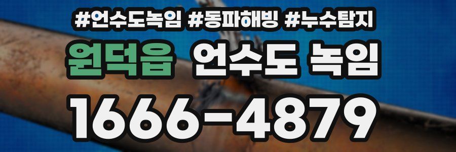 원덕읍 언수도 녹임