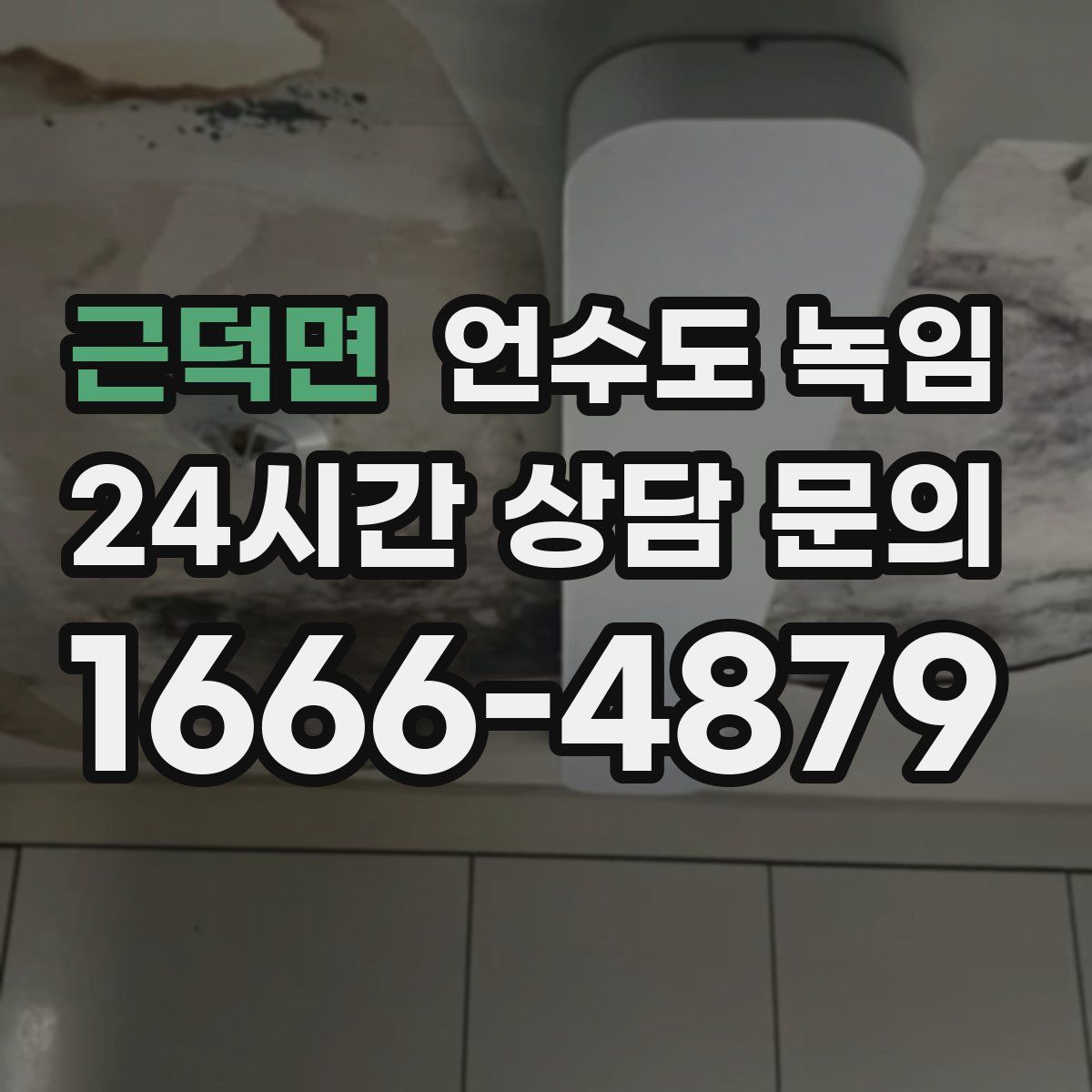 근덕면 언수도 녹임