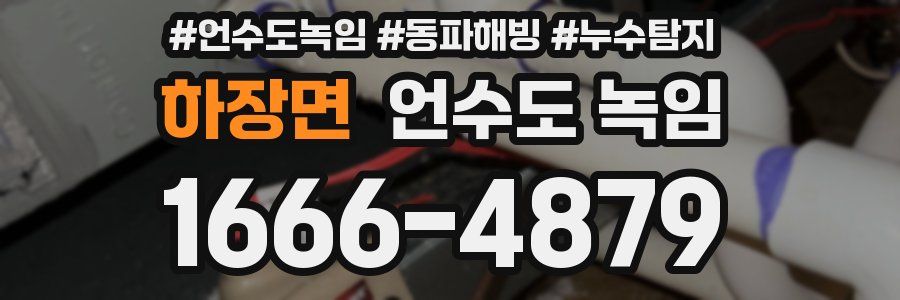 하장면 언수도 녹임