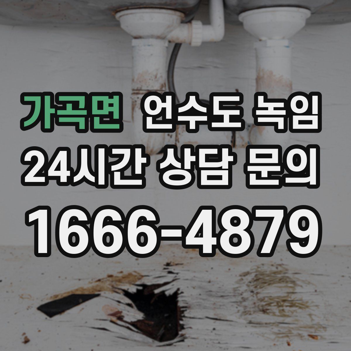 가곡면 언수도 녹임