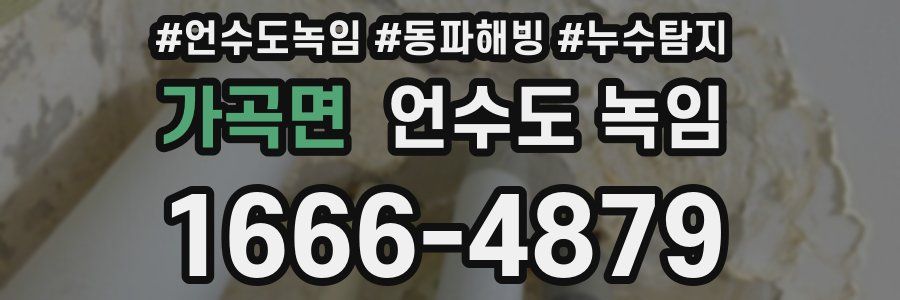 가곡면 언수도 녹임