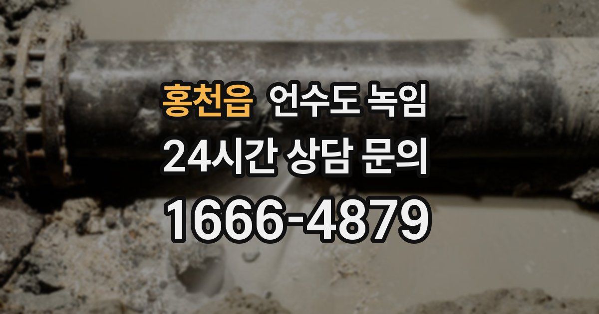 홍천읍 언수도 녹임