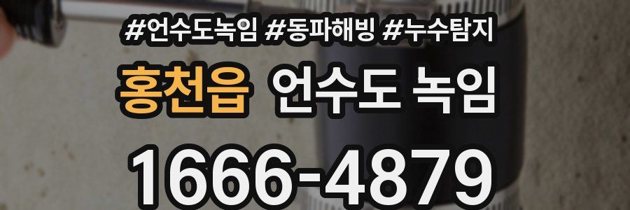 홍천읍 언수도 녹임