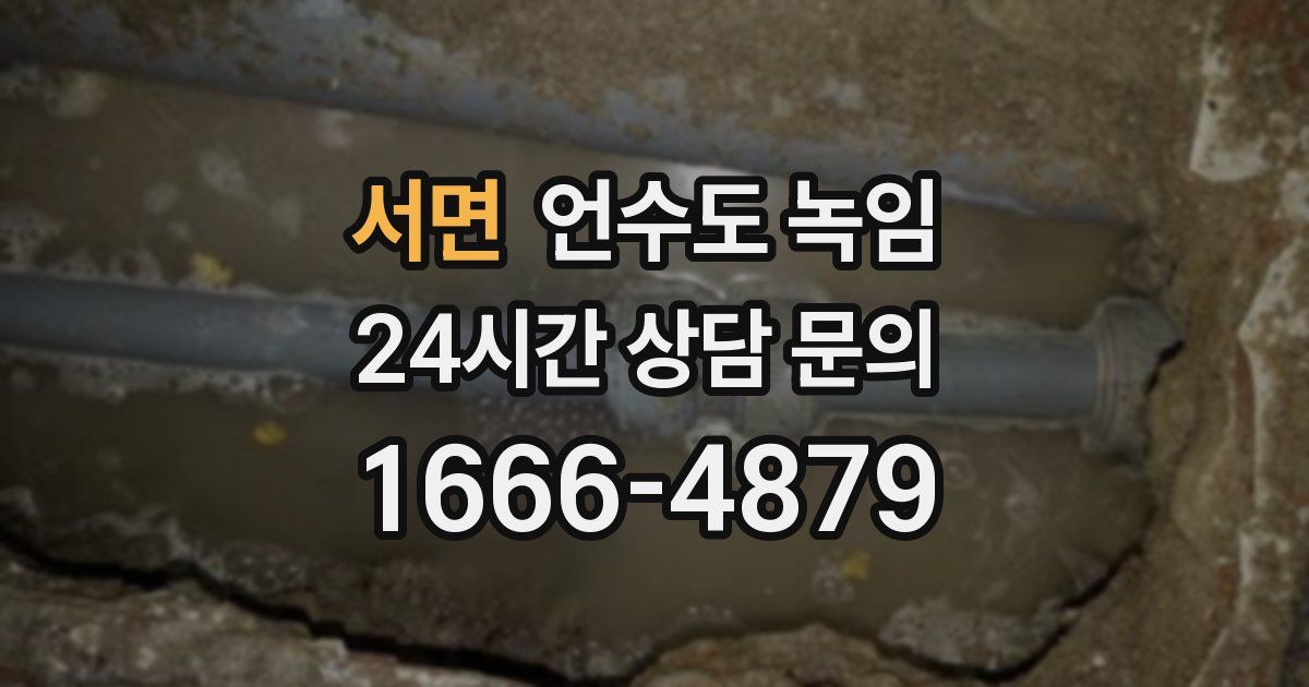 서면 언수도 녹임