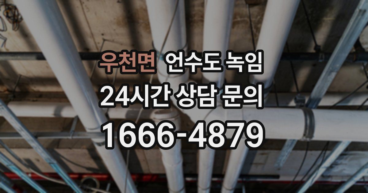 우천면 언수도 녹임