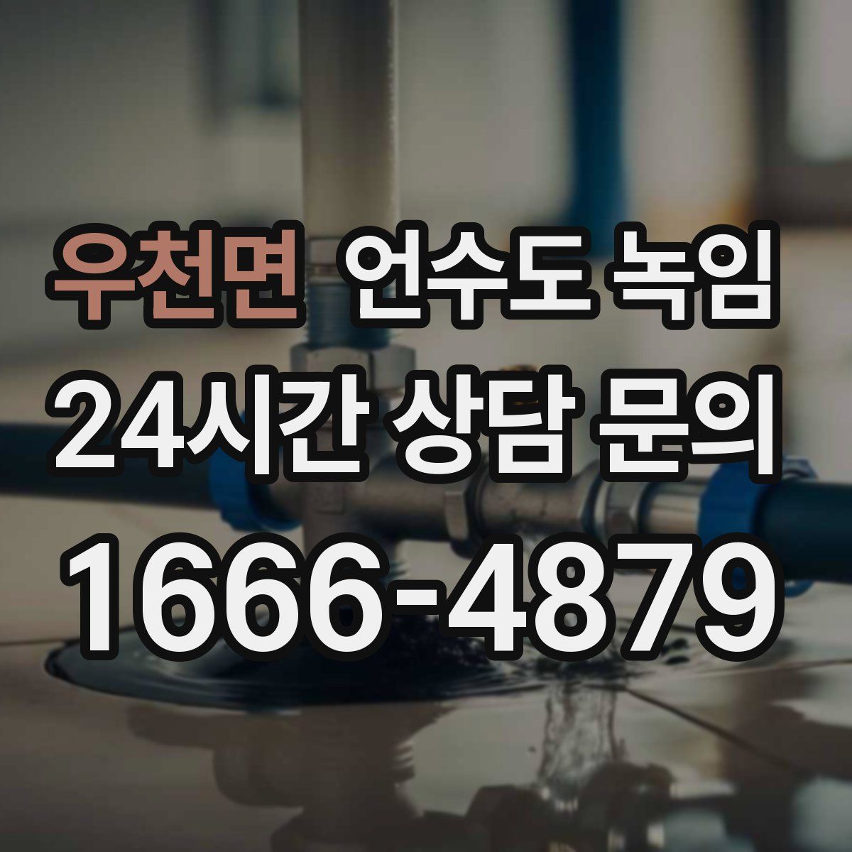 우천면 언수도 녹임