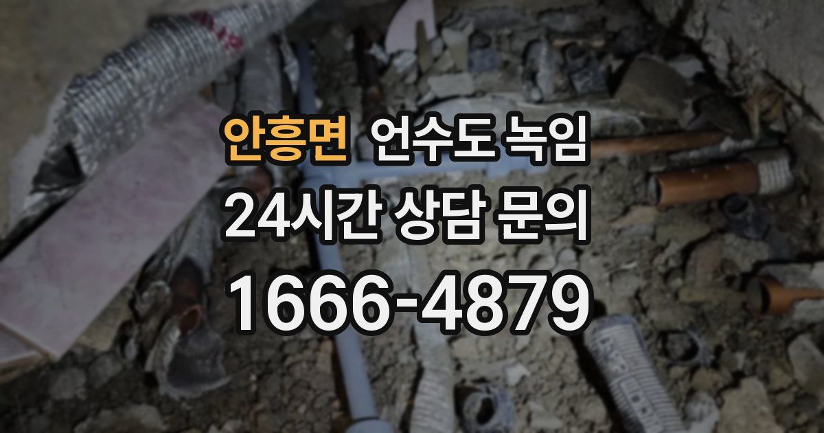 안흥면 언수도 녹임