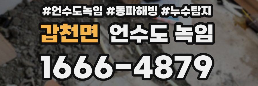 갑천면 언수도 녹임