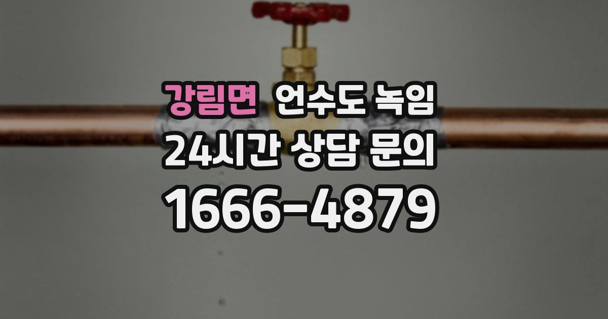 강림면 언수도 녹임