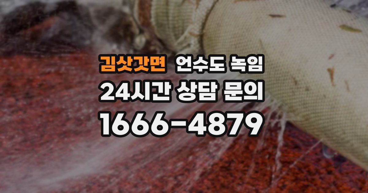 김삿갓면 언수도 녹임