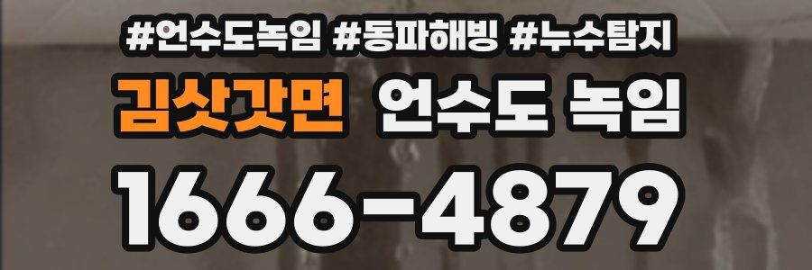 김삿갓면 언수도 녹임