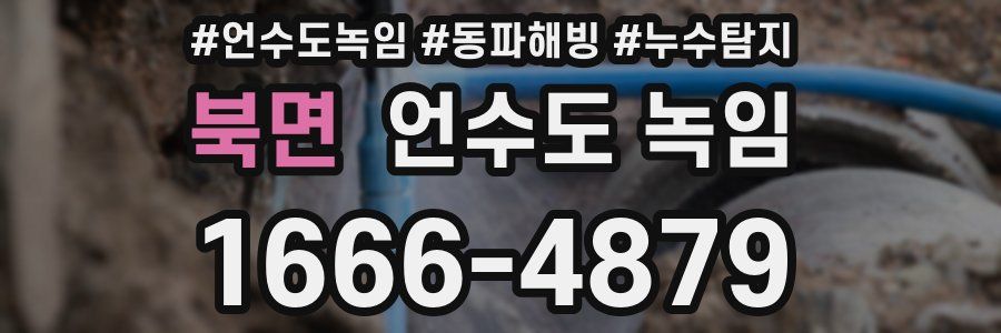 북면 언수도 녹임