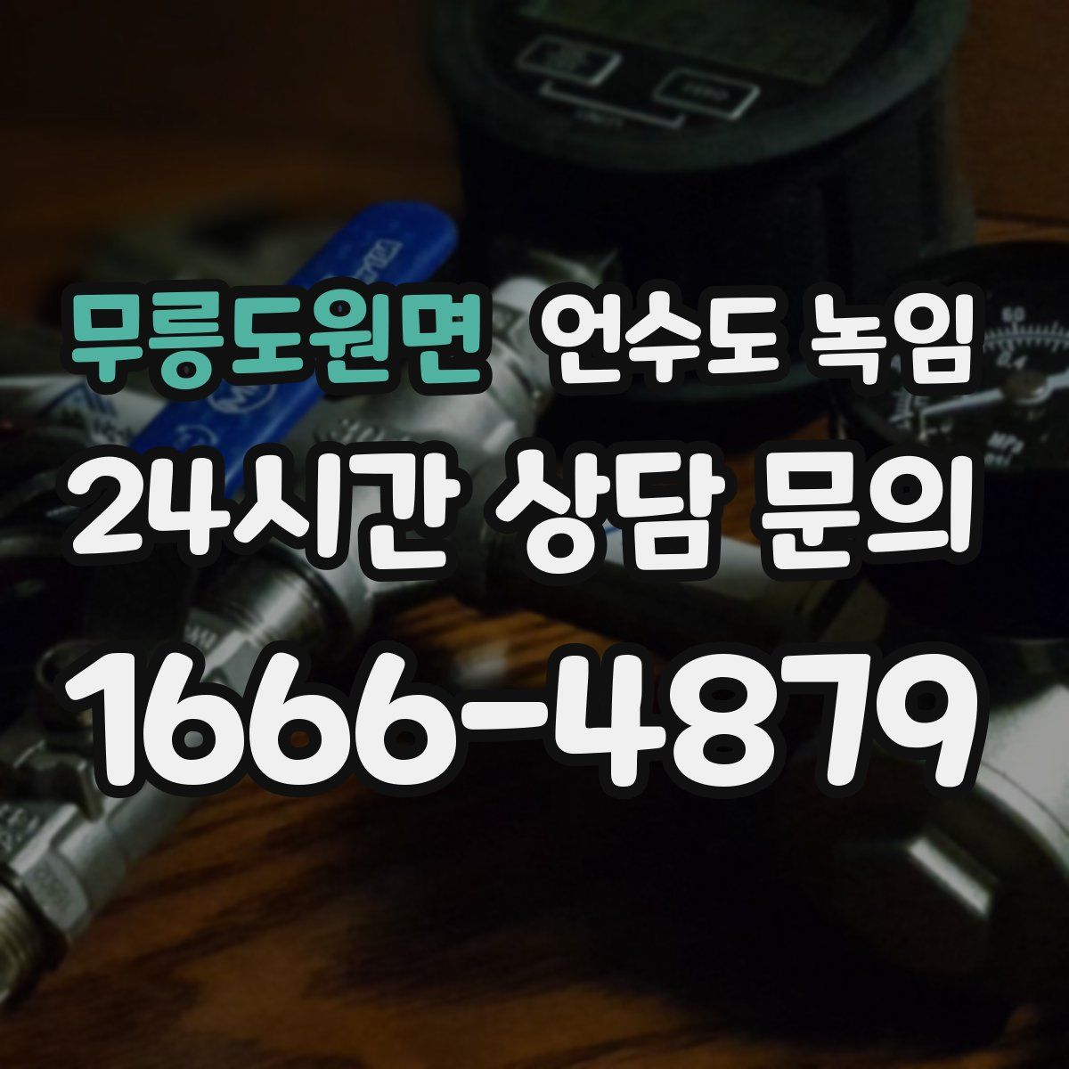 무릉도원면 언수도 녹임