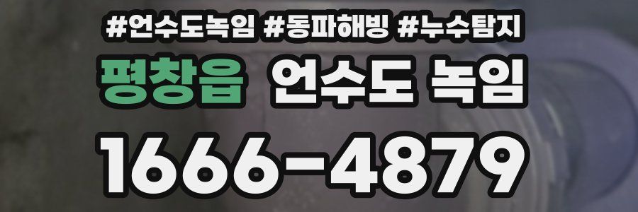 평창읍 언수도 녹임