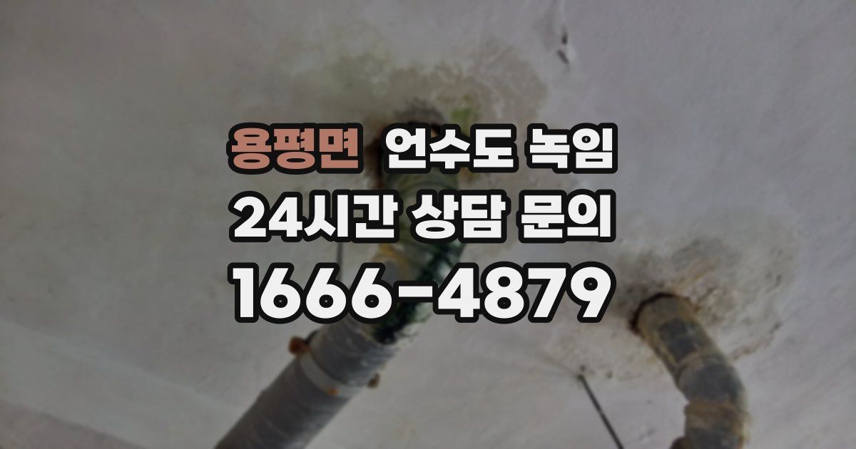 용평면 언수도 녹임