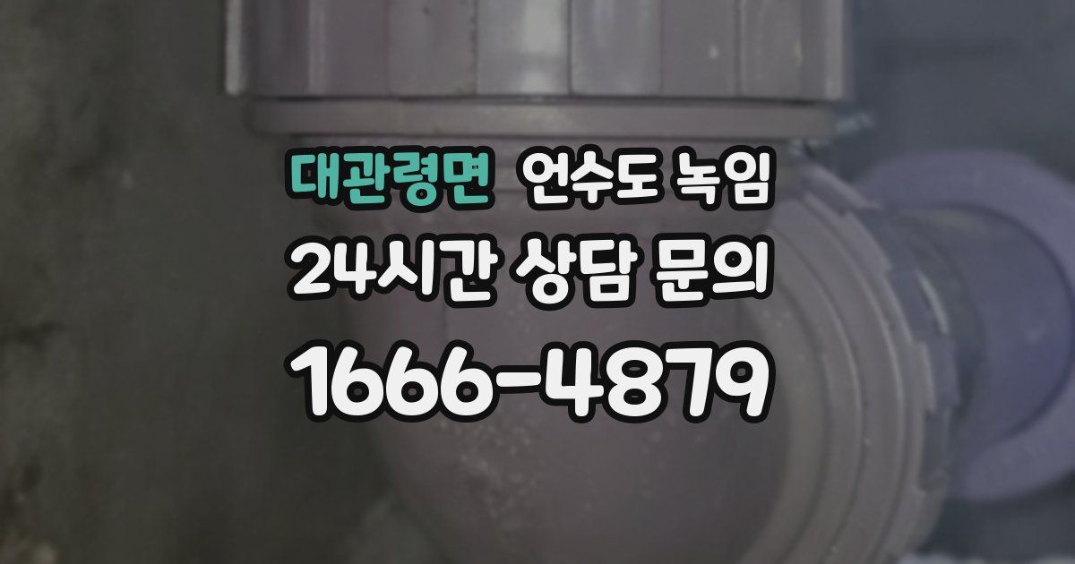 대관령면 언수도 녹임