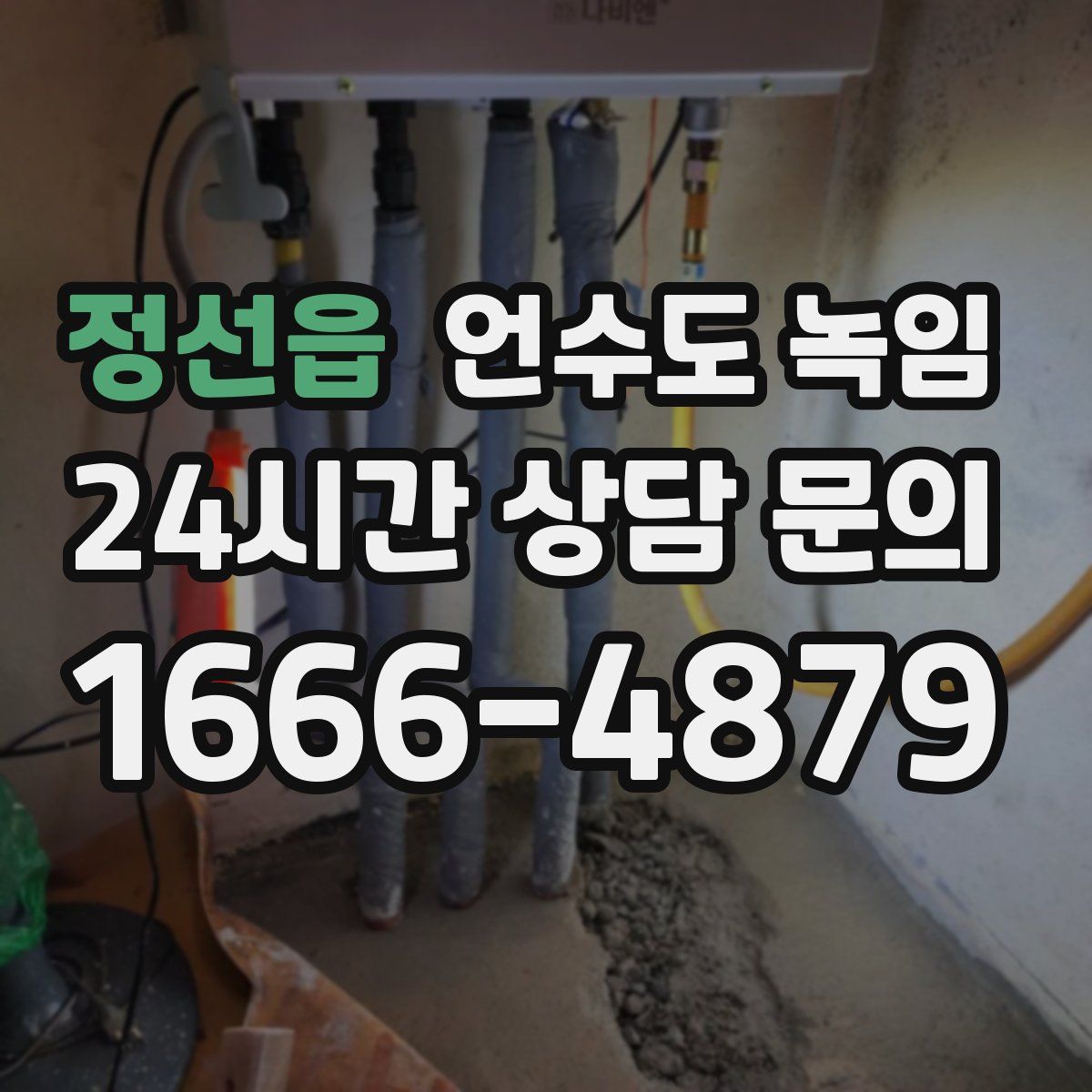 정선읍 언수도 녹임