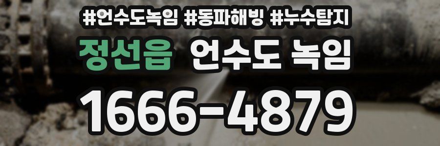 정선읍 언수도 녹임