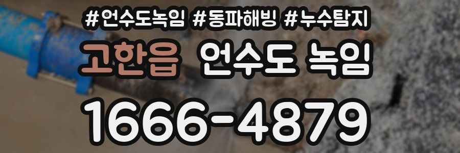 고한읍 언수도 녹임