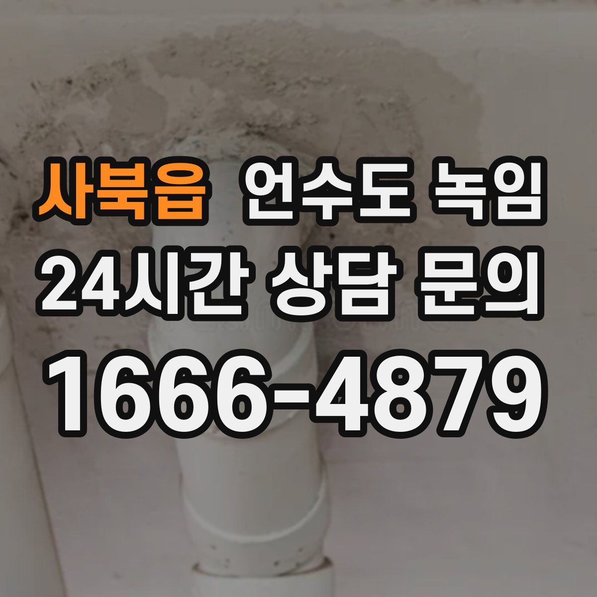 사북읍 언수도 녹임