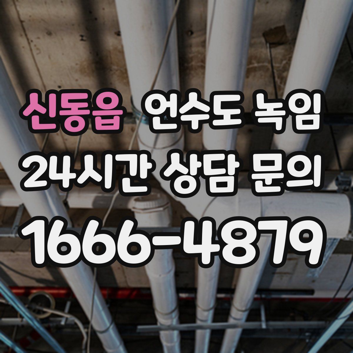 신동읍 언수도 녹임