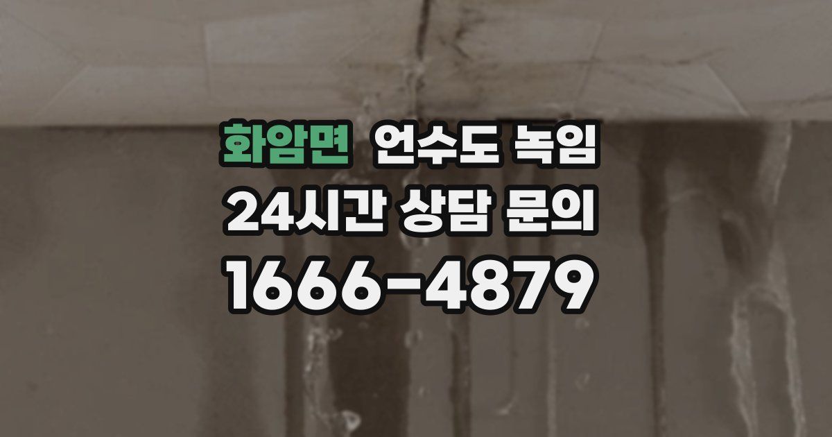 화암면 언수도 녹임