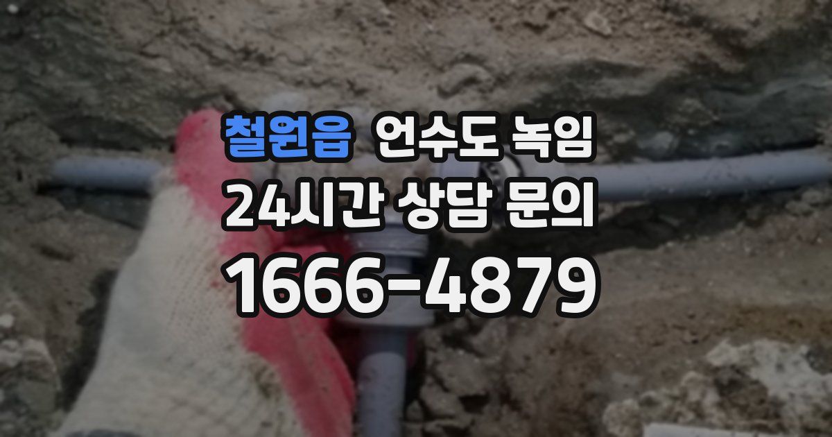 철원읍 언수도 녹임