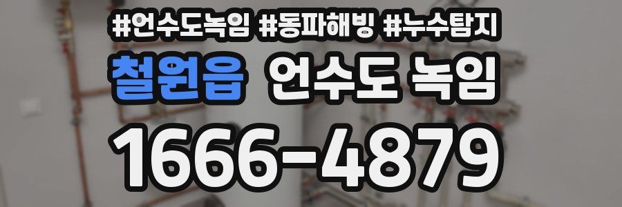 철원읍 언수도 녹임