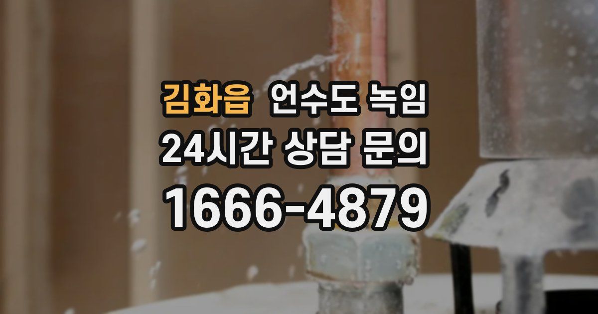 김화읍 언수도 녹임