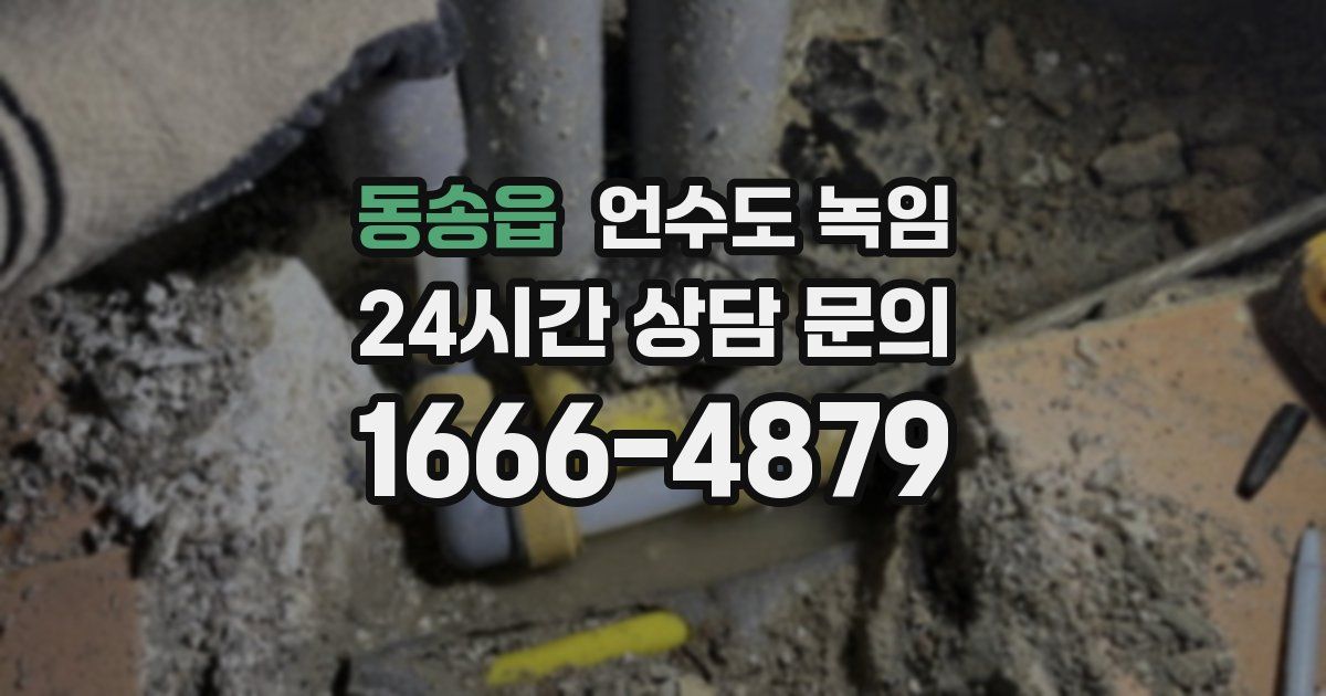 동송읍 언수도 녹임