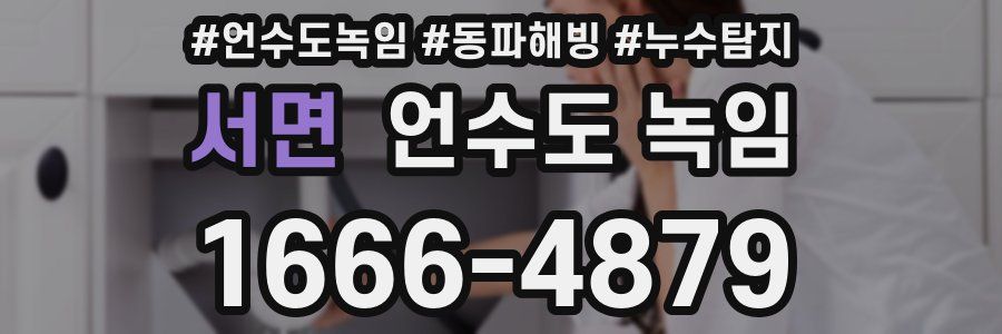 서면 언수도 녹임