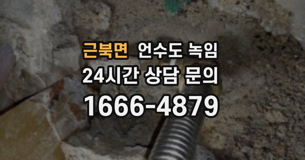 근북면 언수도 녹임