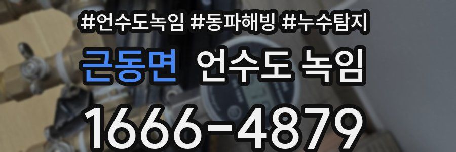 근동면 언수도 녹임