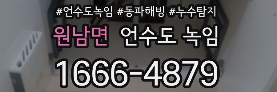 원남면 언수도 녹임