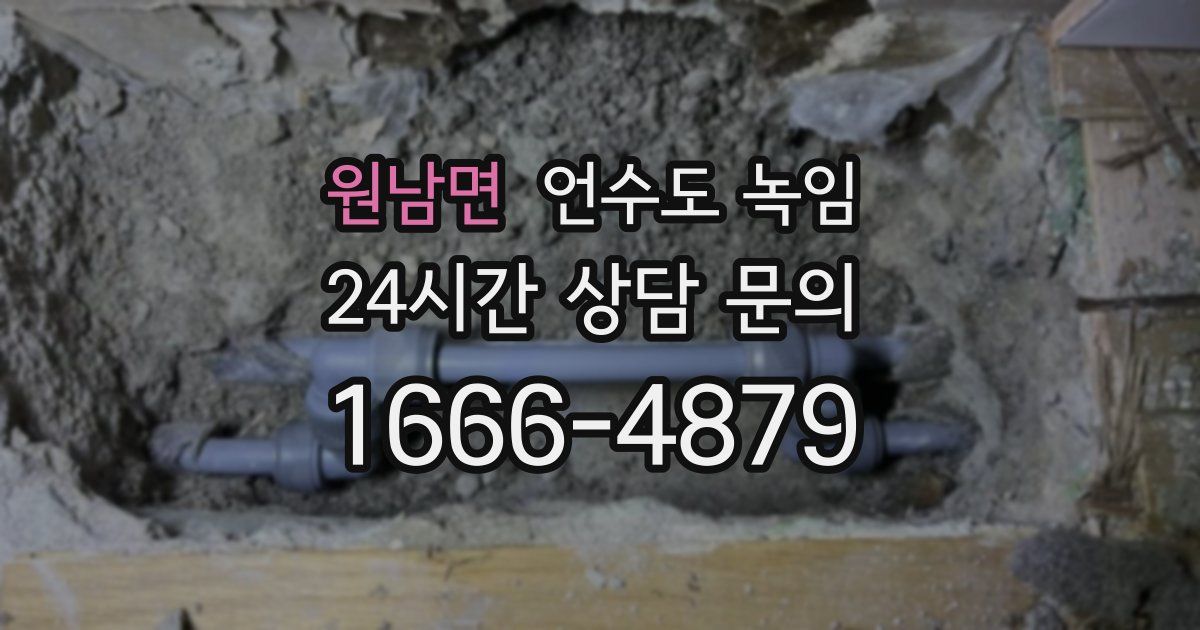원남면 언수도 녹임