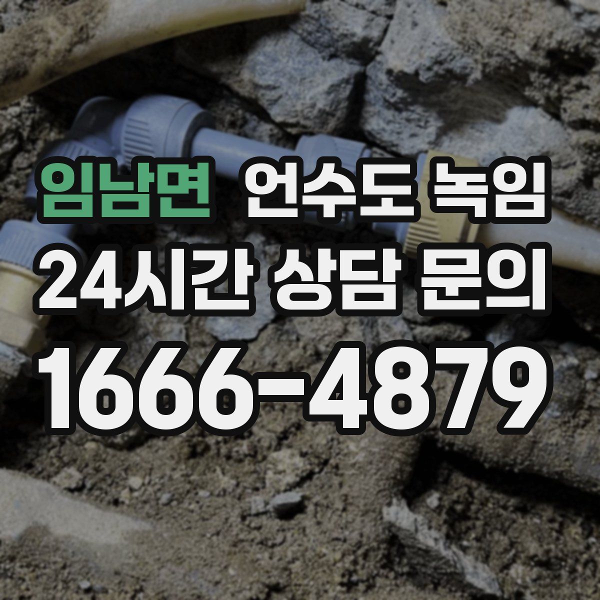 임남면 언수도 녹임