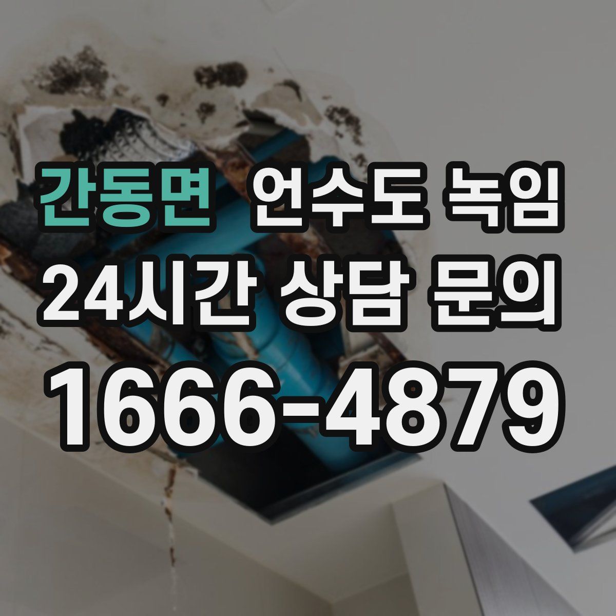 간동면 언수도 녹임