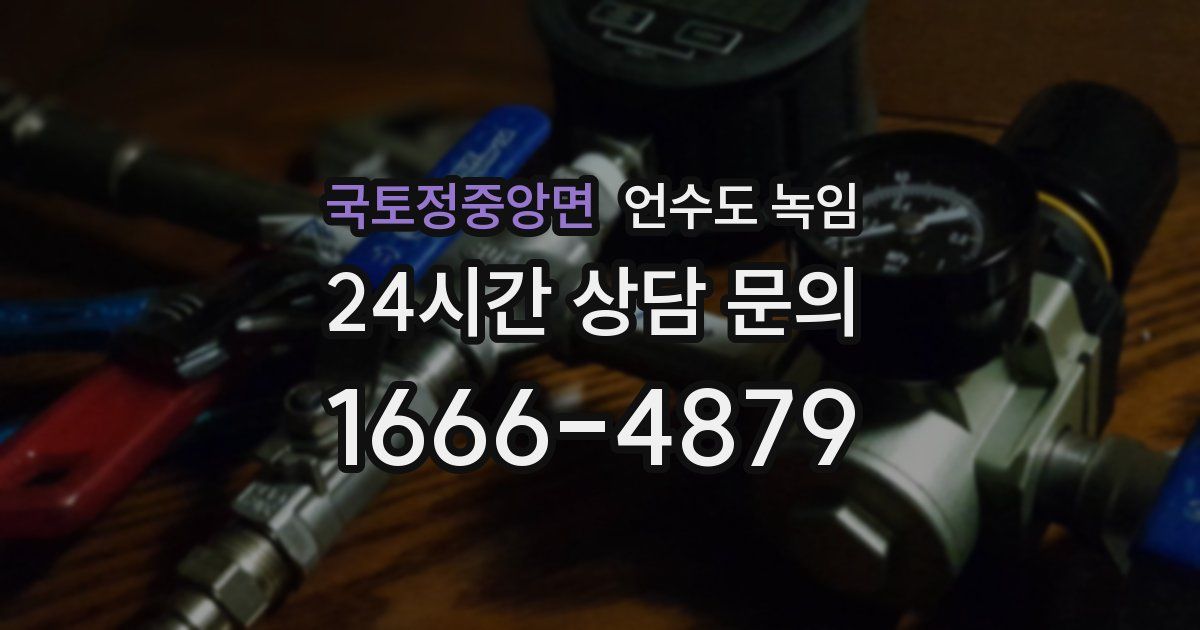 국토정중앙면 언수도 녹임