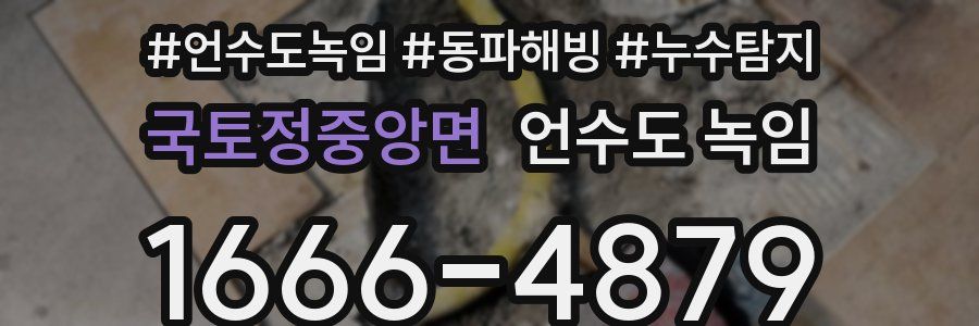 국토정중앙면 언수도 녹임