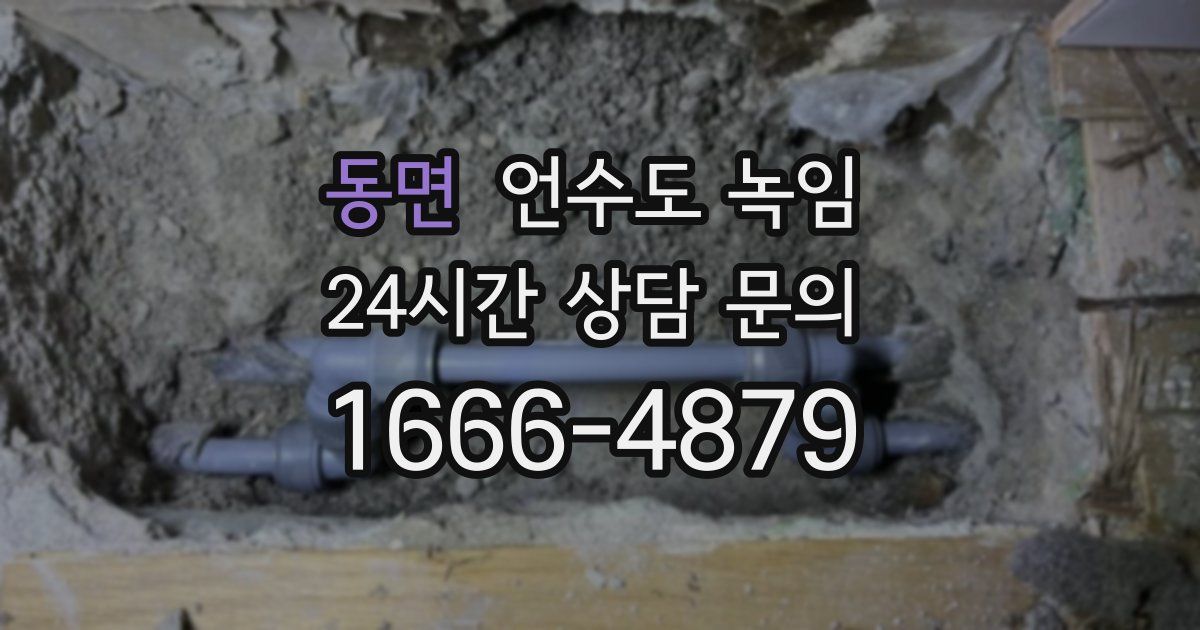 동면 언수도 녹임